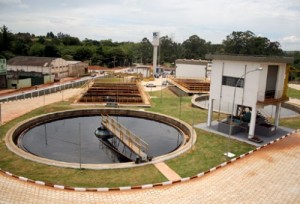 peq_970640396.jpg